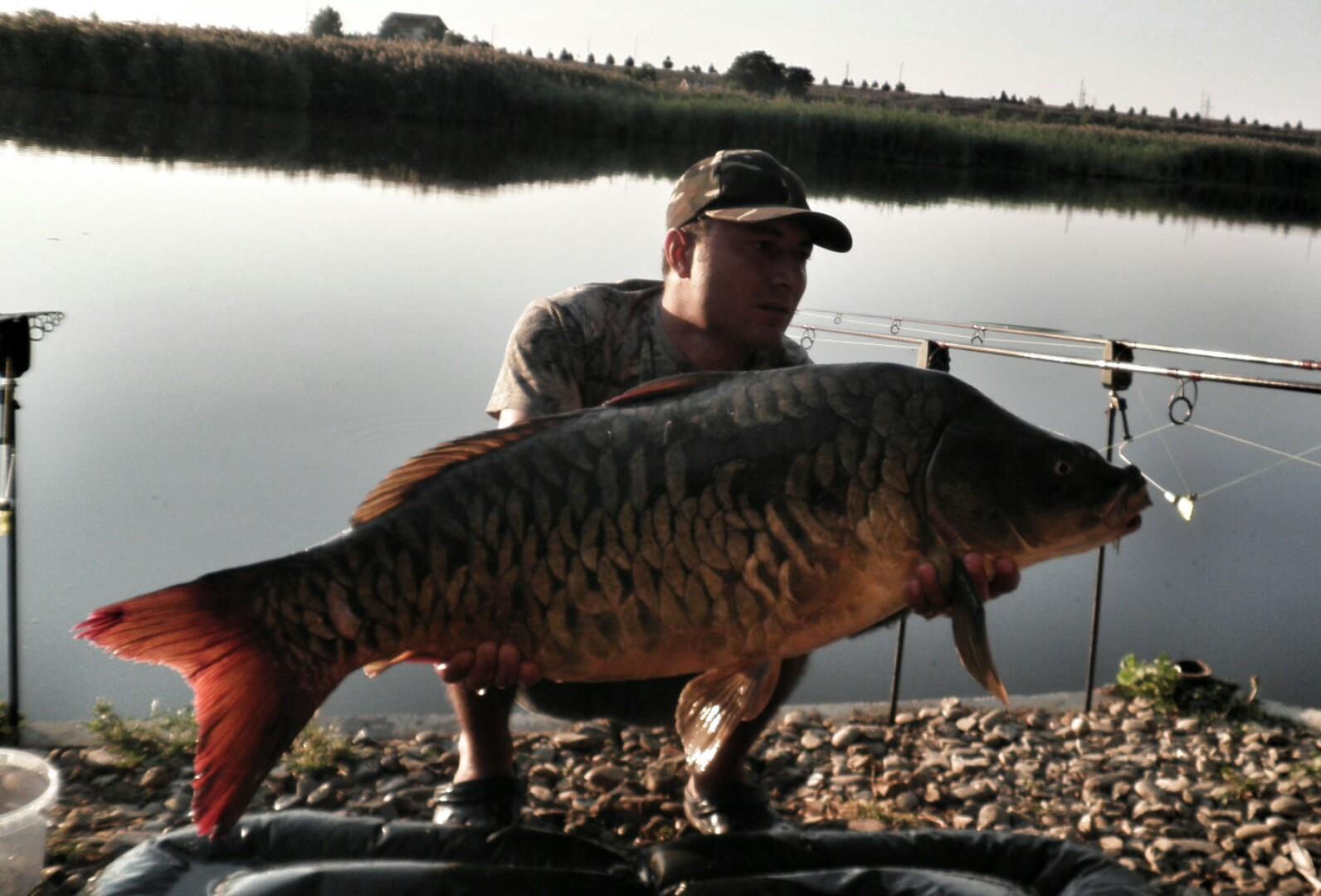 OMG - p914014121.jpg